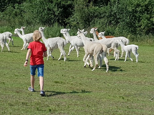 Zooloģiskais dārzs