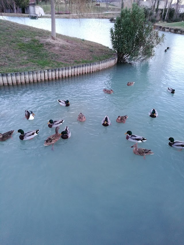 Parc du 26ème Centenaire
