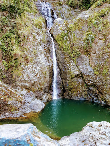 Hacienda Carvajal Gallery - United States