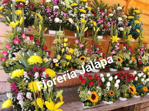 Floristería Jalapa - Thumbnail