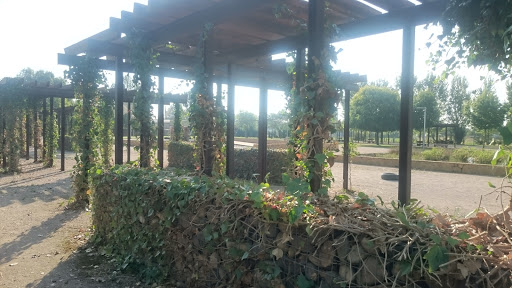Mayor Charo González Park - Thumbnail