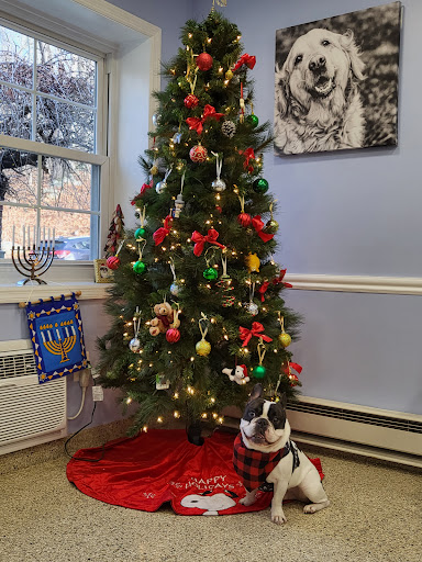 Cornwall Veterinary Hospital Gallery - United States