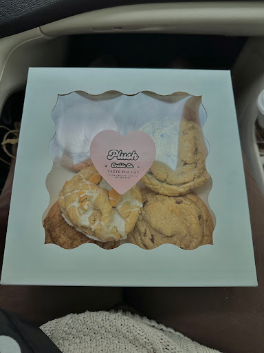 Plush Cookie Co. - Visual