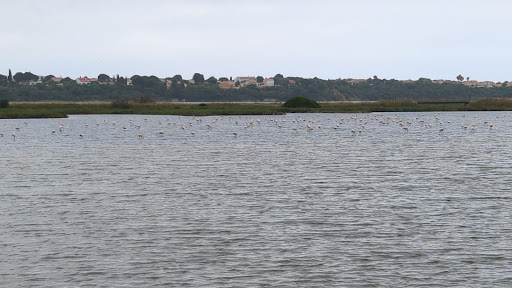 Lac Flamingo - Thumbnail