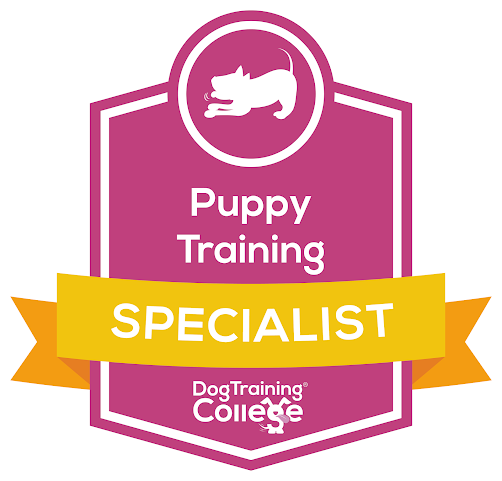 Juno & Co | Cumbria Dog Training & Behaviour by null