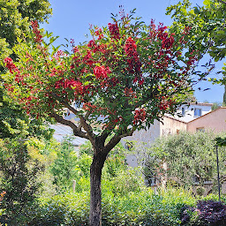 Photo n°9 de Pépinières du Réténaou à Vallauris (Paysagiste)
