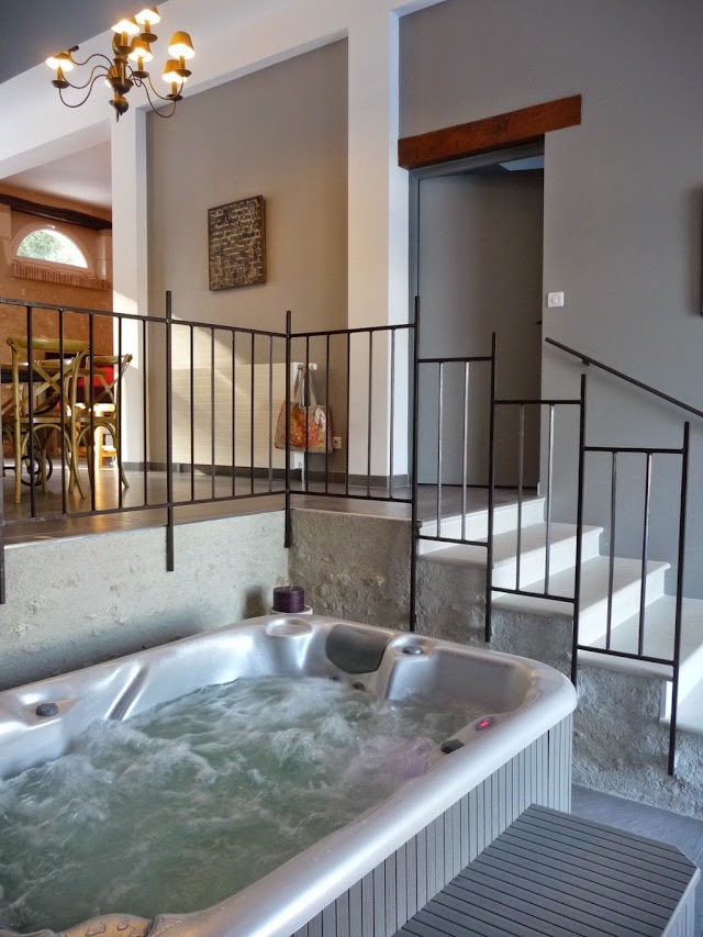 Domaine Maison Neuve gîte et chambres d'hôtes de charme(Loches, Zoo de Beauval, Loire Valley)