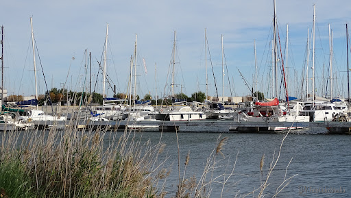 Aparcador de vaixells del Delta de l'Ebre