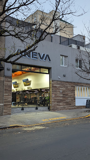 Aneva - Visual