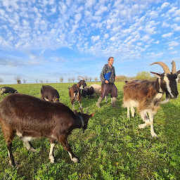 Photo n°24 de La Ferme d'Yvonne - Oasis du Coq à l'Âme à Cellettes (Ferme)