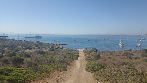 Centro de Recuperacion de Tortugas Marinas - Thumbnail