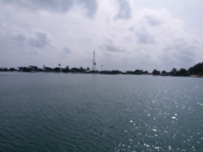 Photos of Harbour