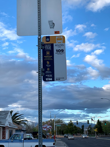 Mindful Illumination Counseling LLC