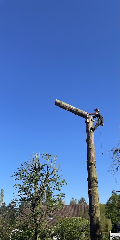 LEBRUN PAYSAGISTES - Elagage - abattage - entretien de jardin depuis 1975.
