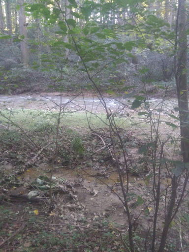 Theodore A. Parker III Natural Area Lower Parking Lot Gallery - United States