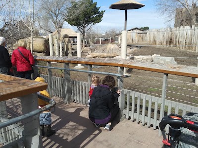 Elephant Encounter at Hogle Zoo