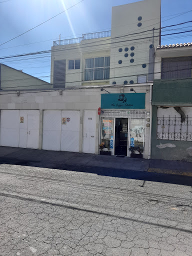 Trips México - Visual
