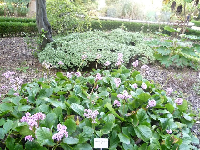 Jardim Botânico da Universidade de Lisboa