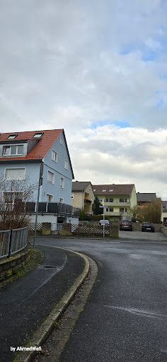 Scheinfeld - Visual