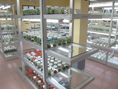 Photos of Plant Biotechnology Center