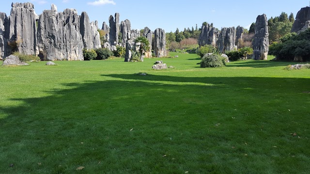 Stone Forest Scenic Area