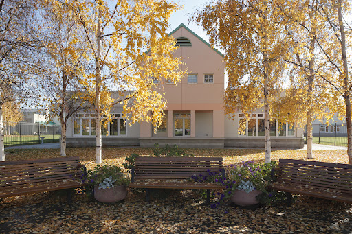 Denali Center - Visual