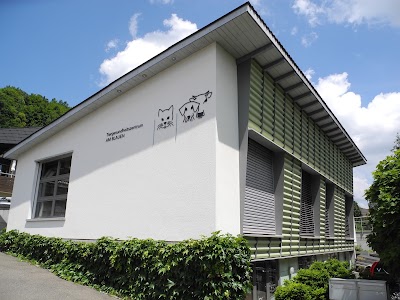 veterinary-care