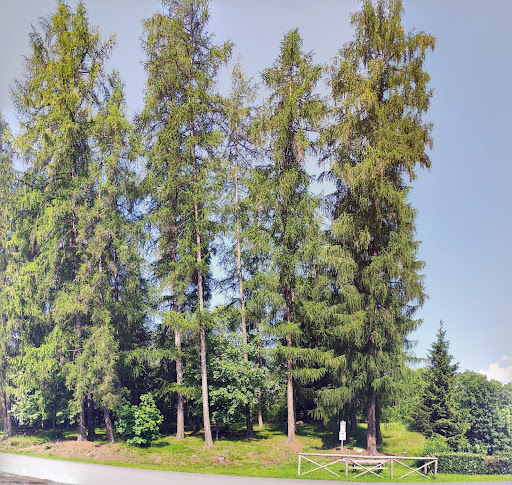 Regione Lago - Thumbnail