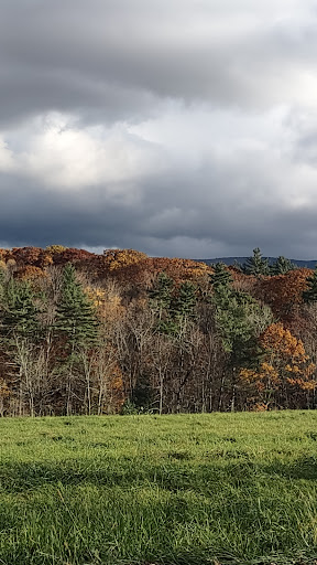 Green Mountain National Forest & Appalachian National Scenic Trail Parking Lot - Thumbnail