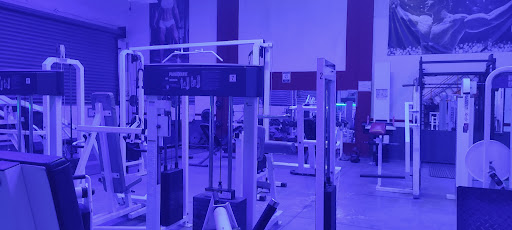 Mfitnessgym - Thumbnail