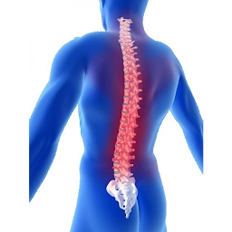 Photo n°10 de Flavien Petiet Ostéopathe D.O. Aulnay sous bois à Aulnay-sous-Bois (Ostéopathe)