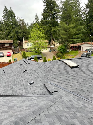 Leos Roofing - Thumbnail