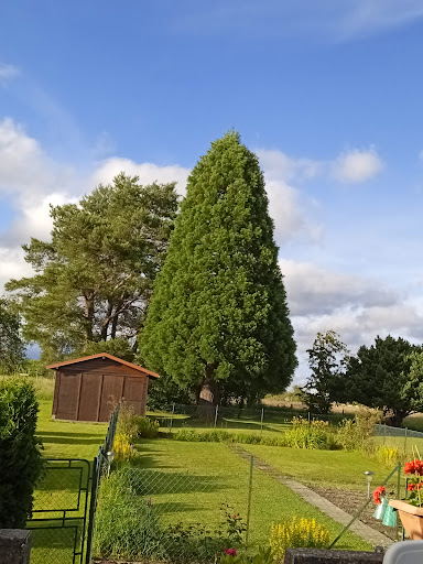 Gîte du Séquoia - Thumbnail