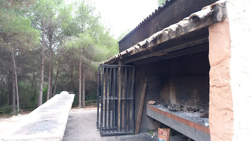 Picnic El Vedat - Thumbnail