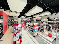 Bleu Libellule Lescure-d'Albigeois à Lescure-d'Albigeois