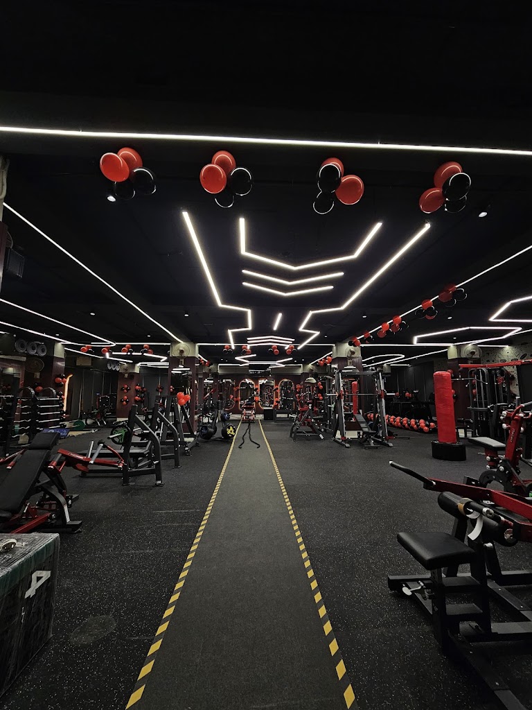 Being Fit Fitness 2 0