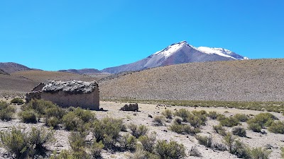 Photos of Las Vicu&ntilde;as National Reserve