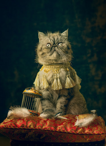 Rasa Silickiene Photography