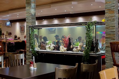 Photos of Locafish Aquarium