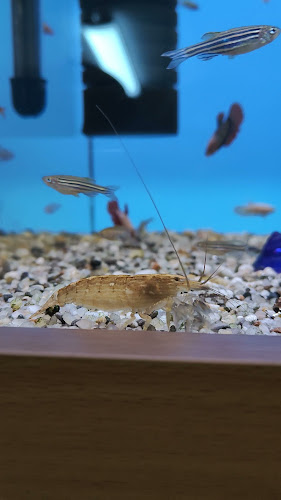 Opinie o Sklep Zoologiczny w Ełk - Sklep