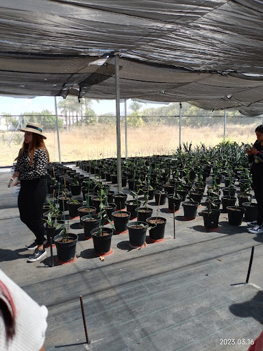 Centro de Desarrollo Tecnológico Tezoyuca