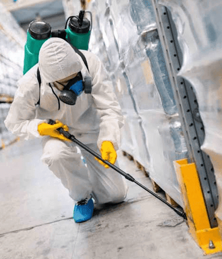 Ultrax Dedetizadora Goiânia | Controle de Pragas, Desratização, Descupinização, Desentipidora, Dedetização Moscas e Mosquitos