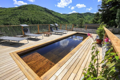 Photo de BioPoolTech Vendée - Piscines naturelles & filtration écologique connectée à Nesmy (85310)