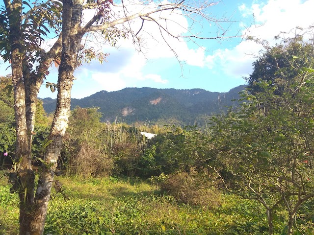 Hillside Lifestyle Resort