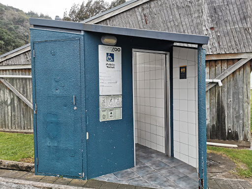 Te Papa Puninga Camping Area
