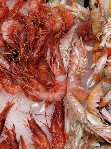 Peixos Eva Gallery - Spain