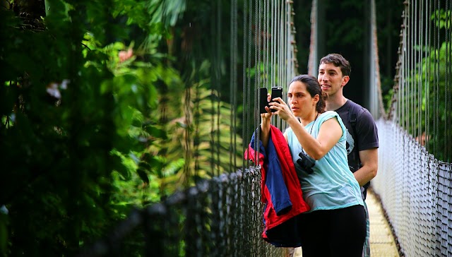 Mistico Arenal Hanging Bridges Park