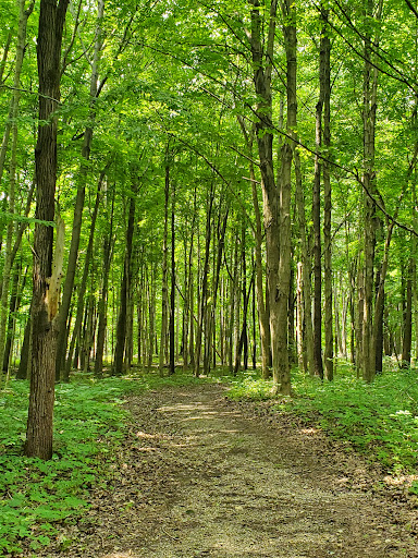 Kokiwanee - ACRES Land Trust - Thumbnail
