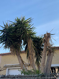 Photo n°5 de Bauer multiservices à Perpignan (Paysagiste)