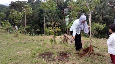 Photos of Teras Kebon